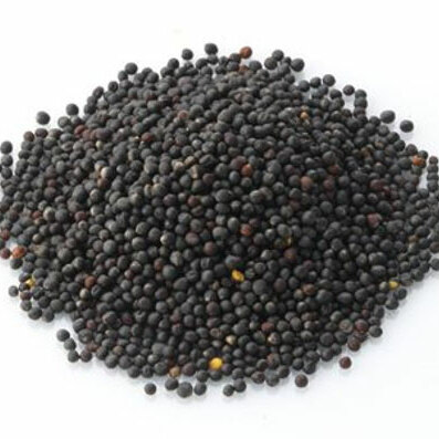 Cold Pressed
Rapeseed Oil
This Cold Pressed Rapeseed oil is brilliant for splashing over salads and cooking. Organic Rapeseed Oils are high in Vitamin E and especially rich in Omega-3.