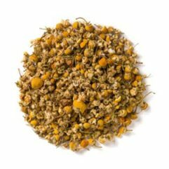 Chamomile is one of the most ancient medicinal herbs known to mankind. The dried flowers of chamomile contain many terpenoids and flavonoids contributing to its medicinal properties.  Essential oils of chamomile are used extensively in cosmetics and aromatherapy. Many different preparations of chamomile have been developed, the most popular of which is in the form of herbal tea